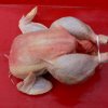 Deutsches Bauernsuppenhuhn - Deutsches Bauernsuppenhuhn gruß bis zu 3 kg (Rotländer)